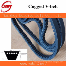 cogged v belt 10*755/705LI for GOLF